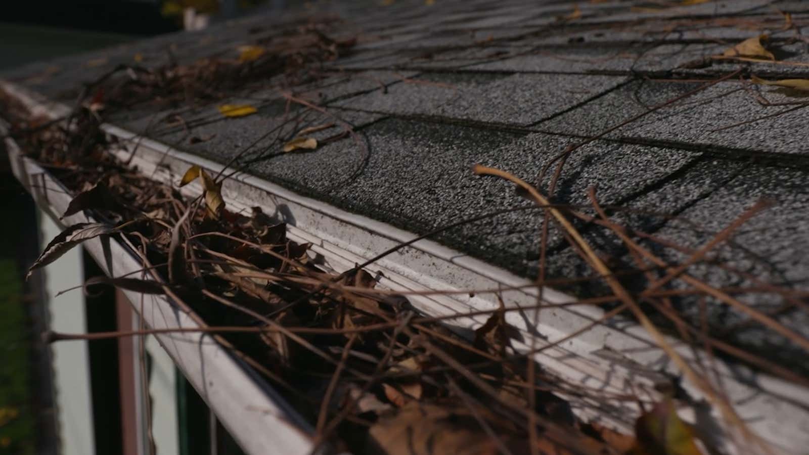 Gutter cleaning safety: how to avoid a dangerous fall