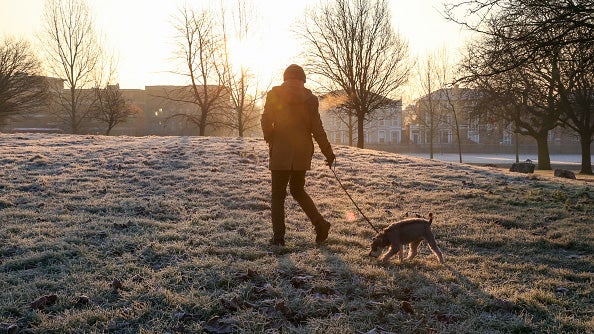 A man is seen walking with his dog on a frosty ground.