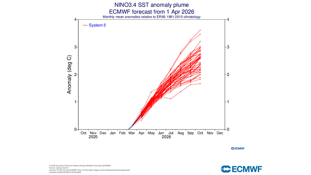 ECMWF super El Ni&ntilde;o forecast