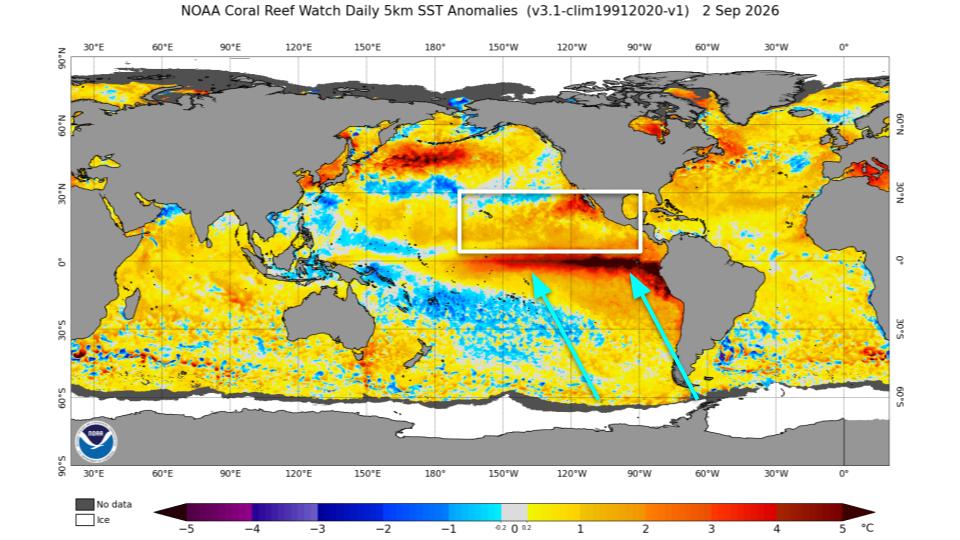 World map showing NOAA Coral Reef Watch daily 5km sea surface temperature anomalies for September 2, 2026, with color-coded ocean temperature deviations from red (warmer) to blue (cooler)