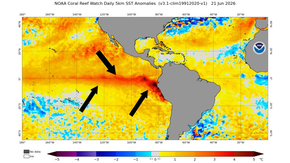 Map showing elevated temperatures in the Pacific