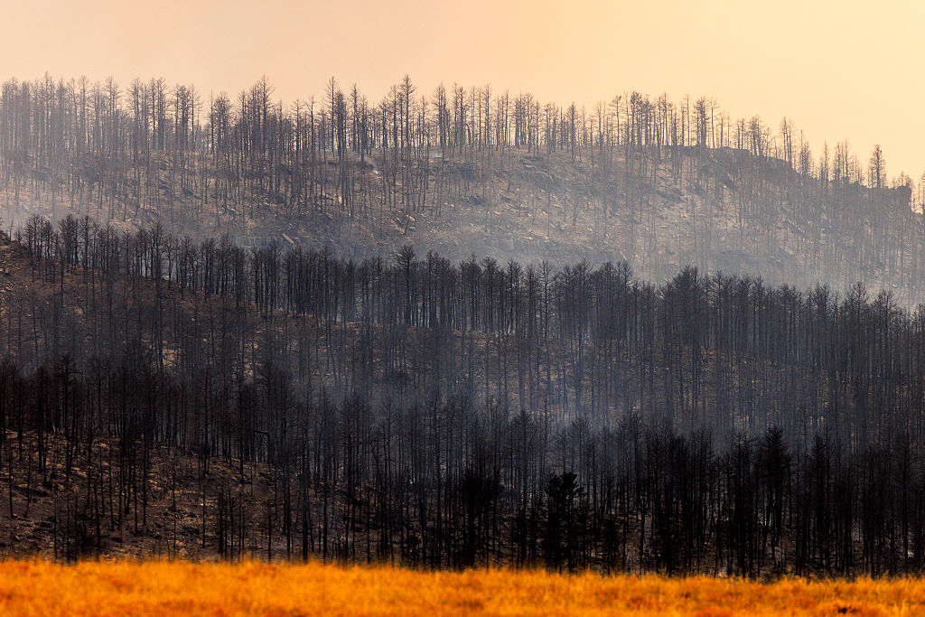 Aspen Acres fire, making it the eighth biggest fire in Colorado history.