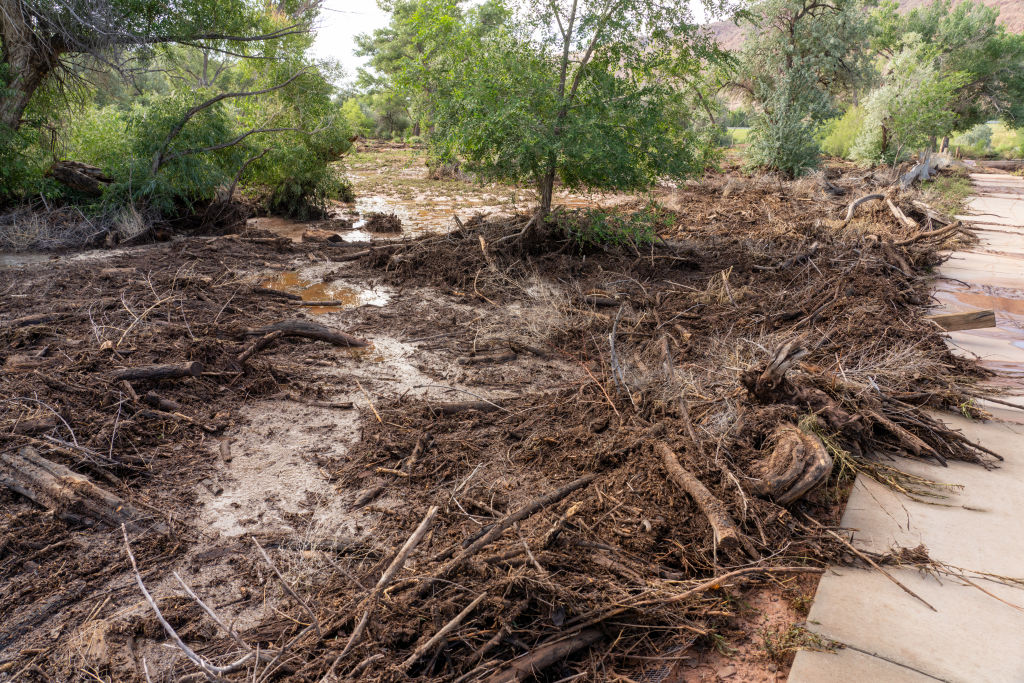 Debris flow from flooding and wildfire