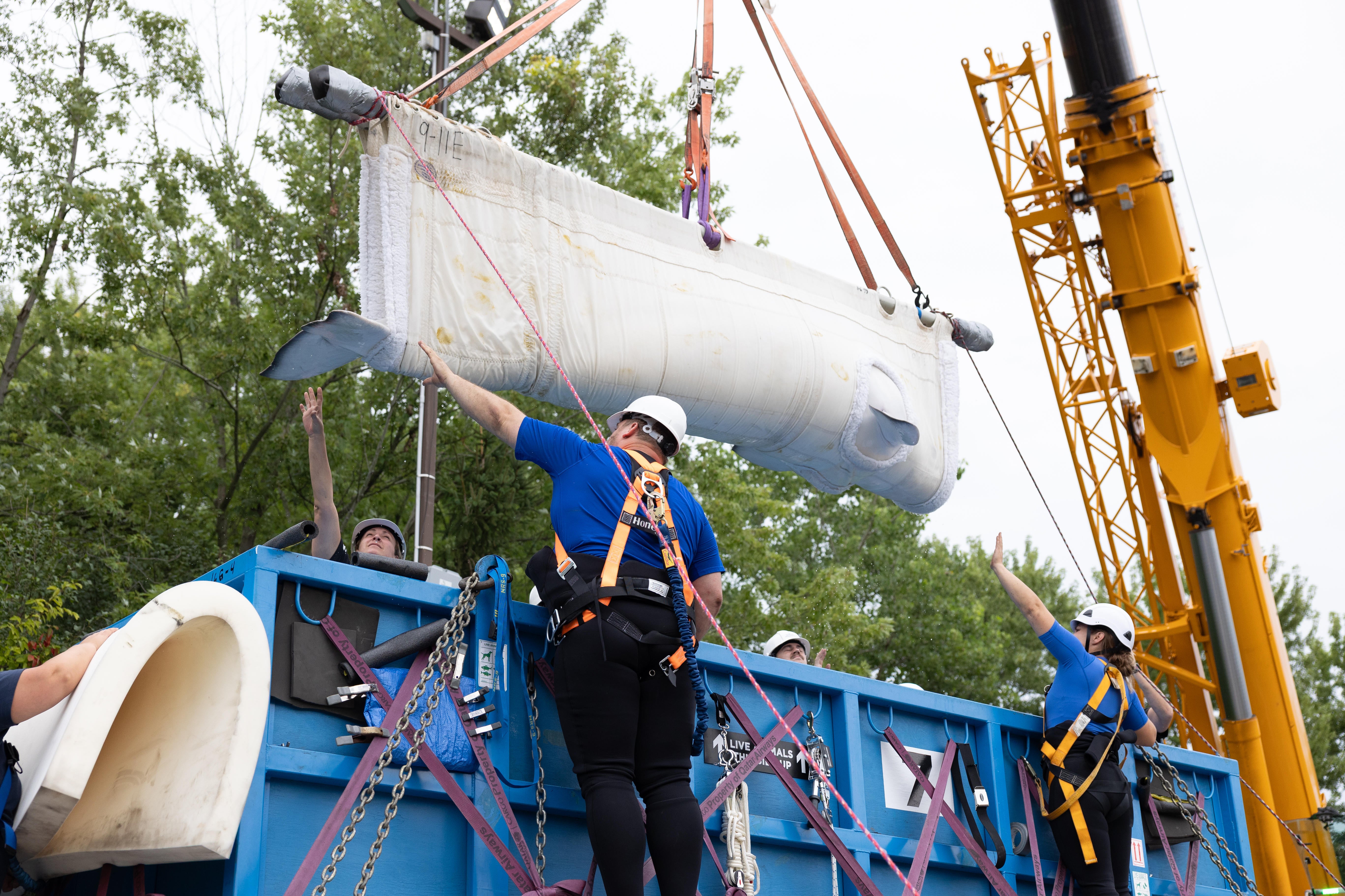 Workers in safety harnesses guide a crane lifting a padded whale-shaped animal transport crate onto a shipping container