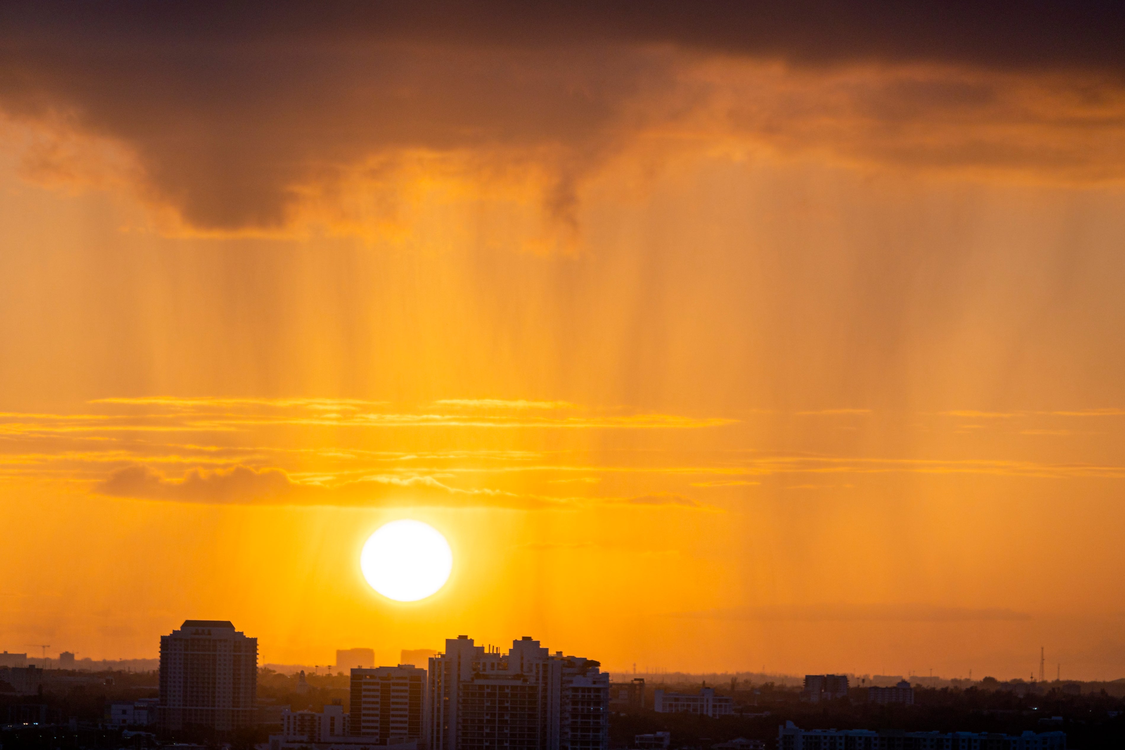 Sun Shower