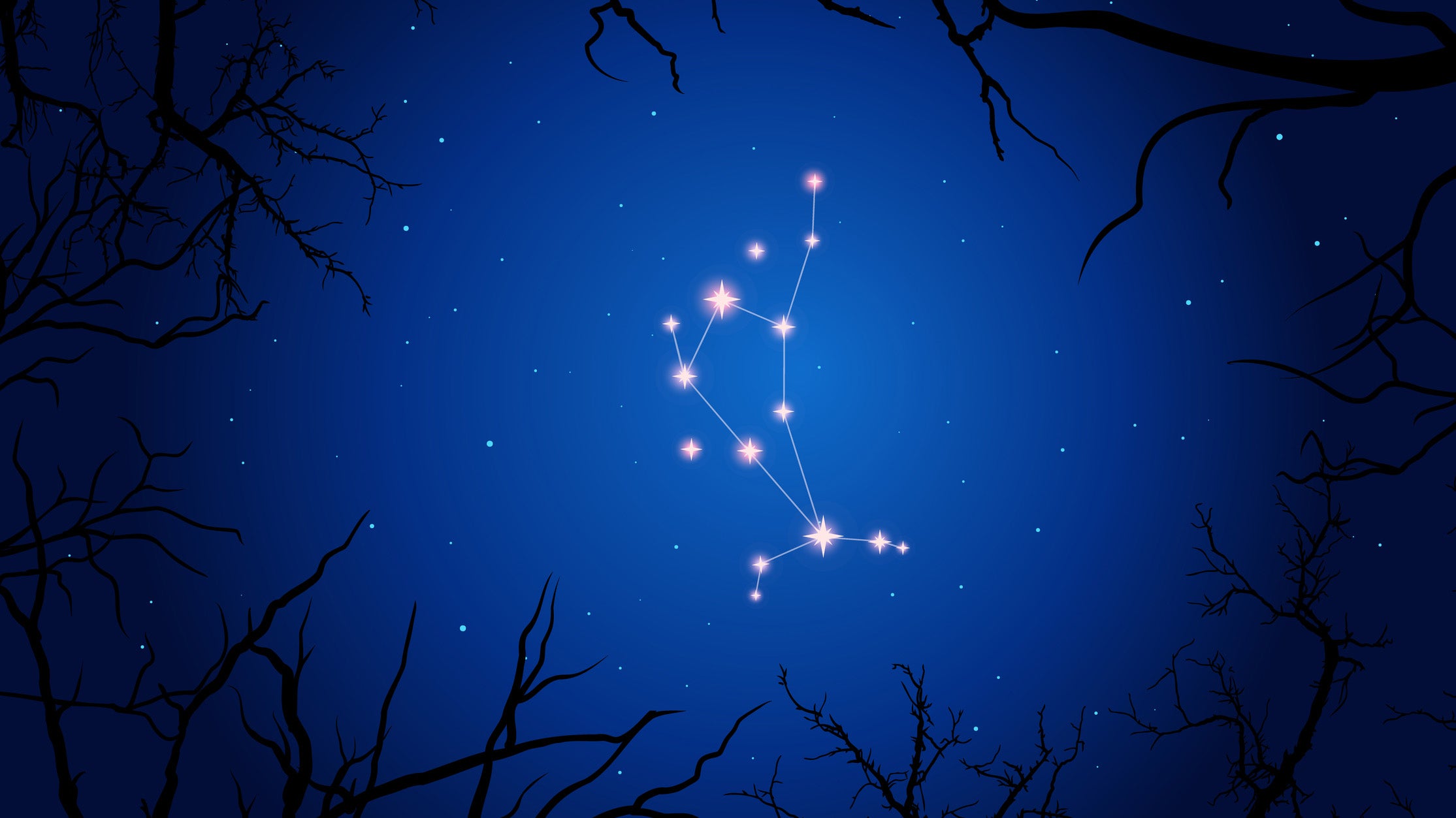 An illustration of the night sky shows the Bo&ouml;tes constellation with trees framing the background.