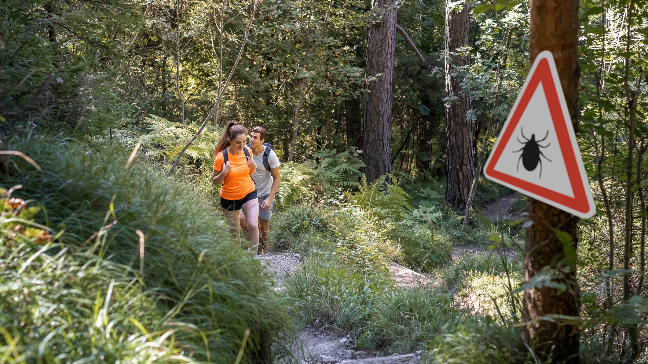 Man and woman hiking in Infected ticks forest with warning sign.