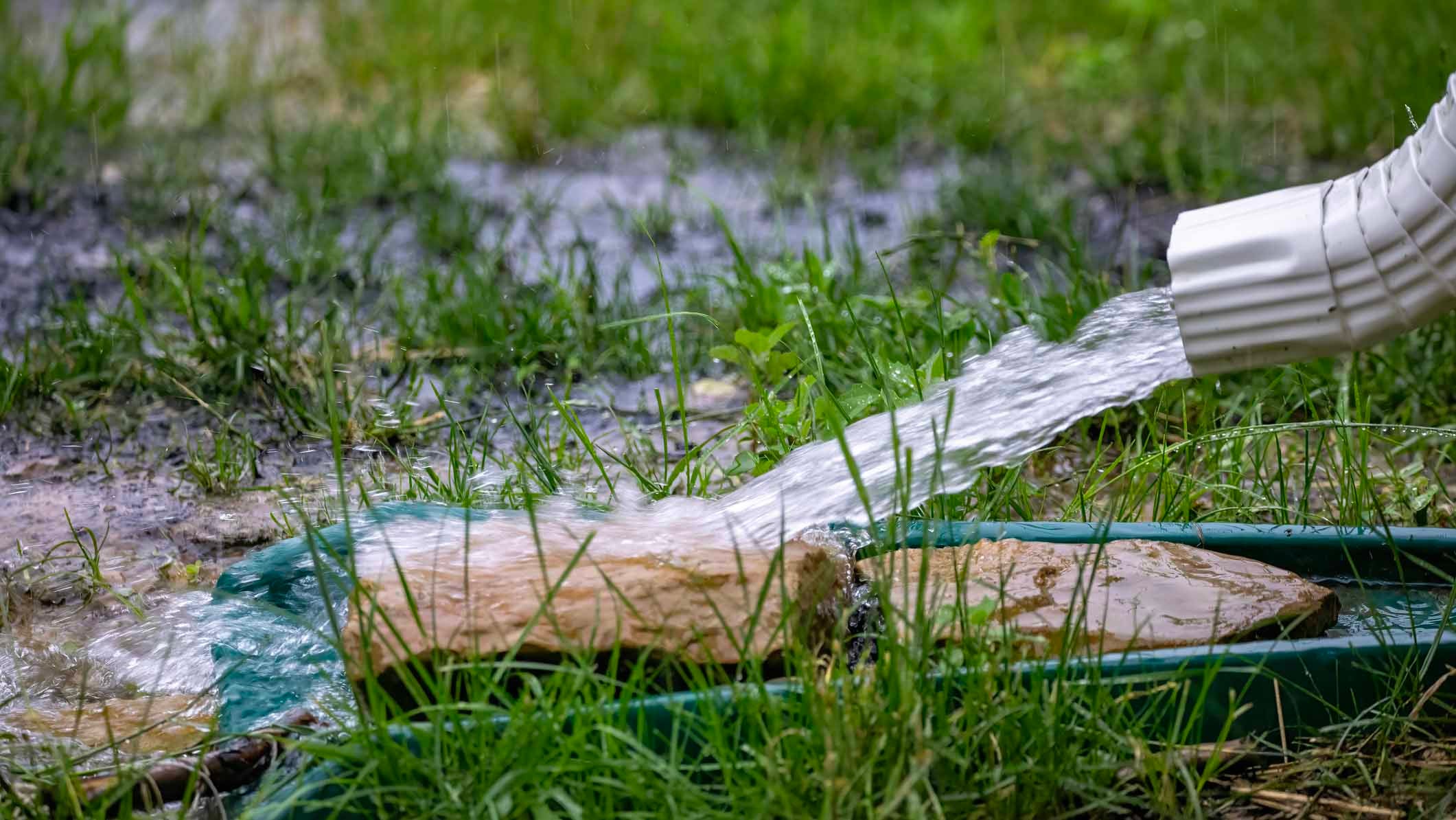 Water flowing from a white downspout extension onto a stone and green channel in a grassy yard.