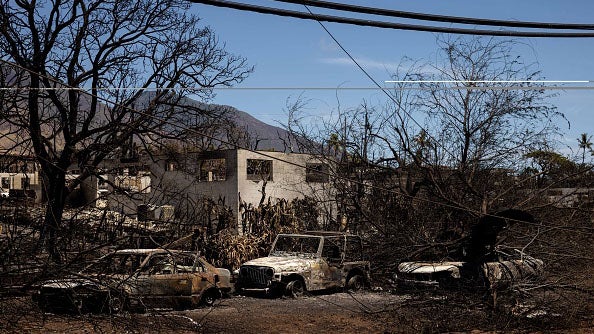 Burned vehicles and scorched trees surround a fire-damaged concrete building after a wildfire.