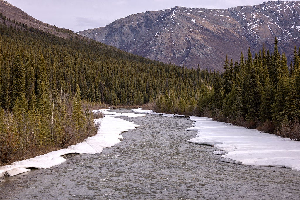 Sanctuary River in Denali National Park, Alaska.