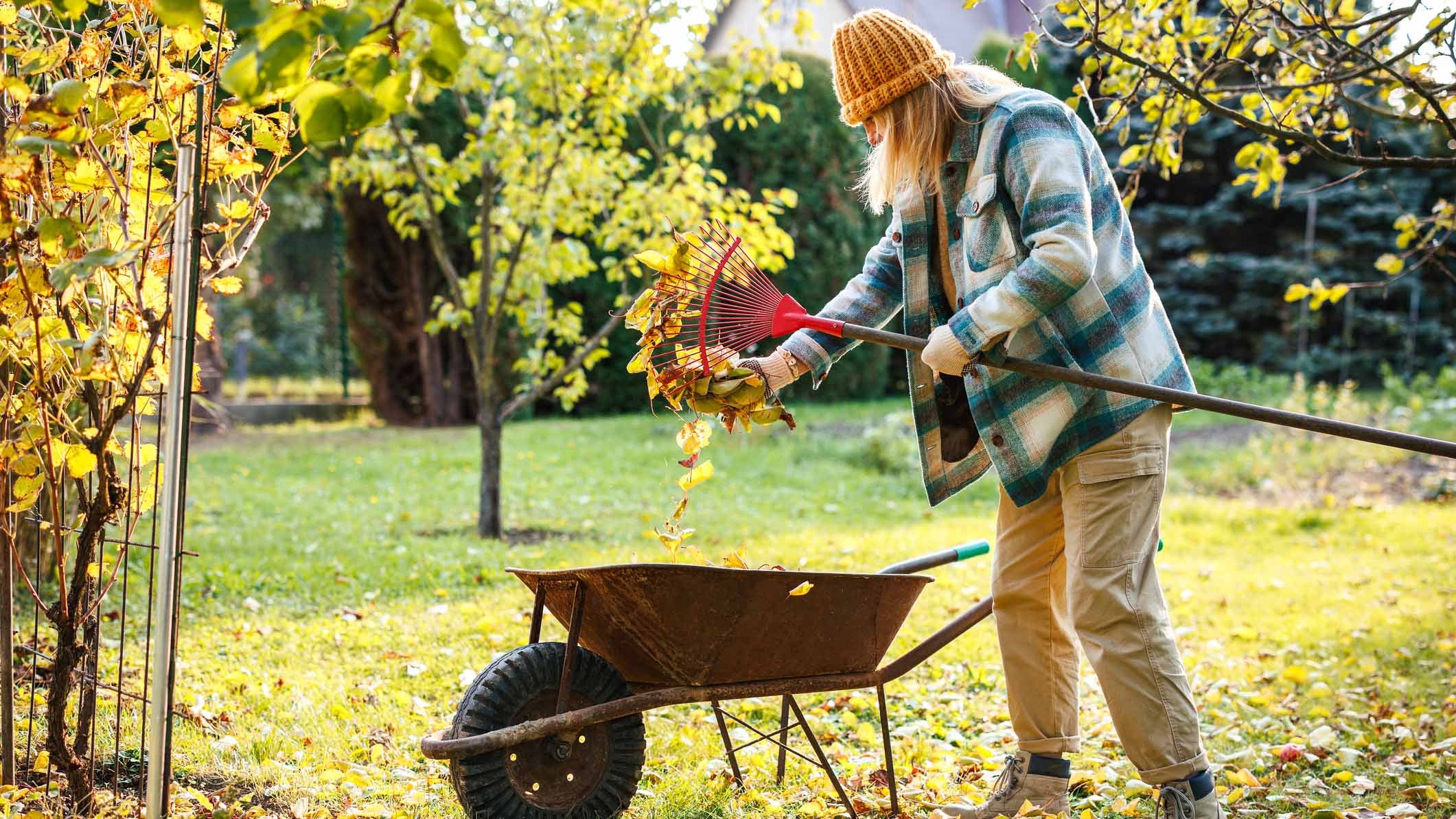 Stop bagging leaves: a farmer's guide to regenerative gardening