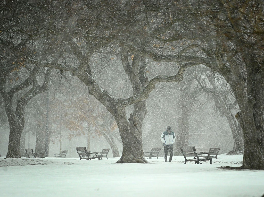 Snow falls in Washington Park in Albany, New York.