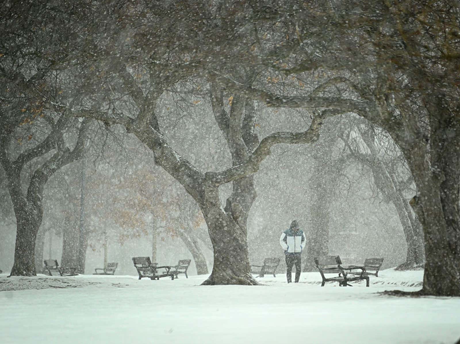 Snow falls in Washington Park in Albany, New York.