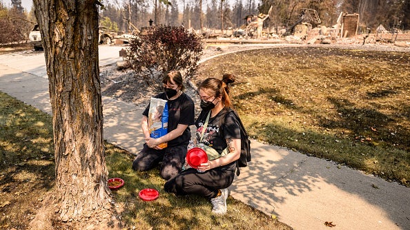 Two masked people kneel with pet food and bowls beside a tree, surrounded by wildfire-damaged homes in the background.