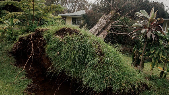 Uprooted tree with exposed roots and soil in a yard, fallen against a house after a storm.