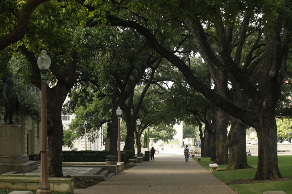 This image shows trees lining the sidewalks for shade