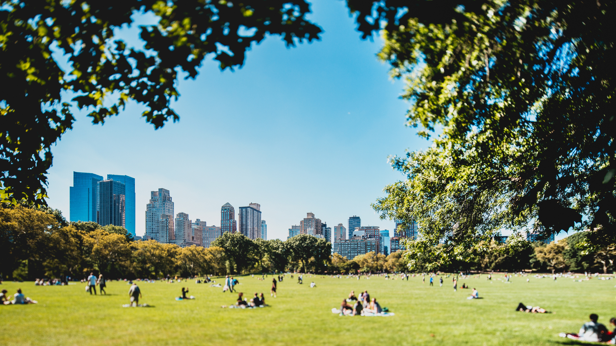 People enjoying a beautiful day on the Central Park Sheep Meadow.