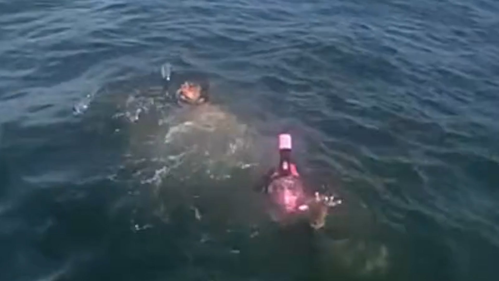 Watch: Strong rip currents pull snorkelers off Florida coast