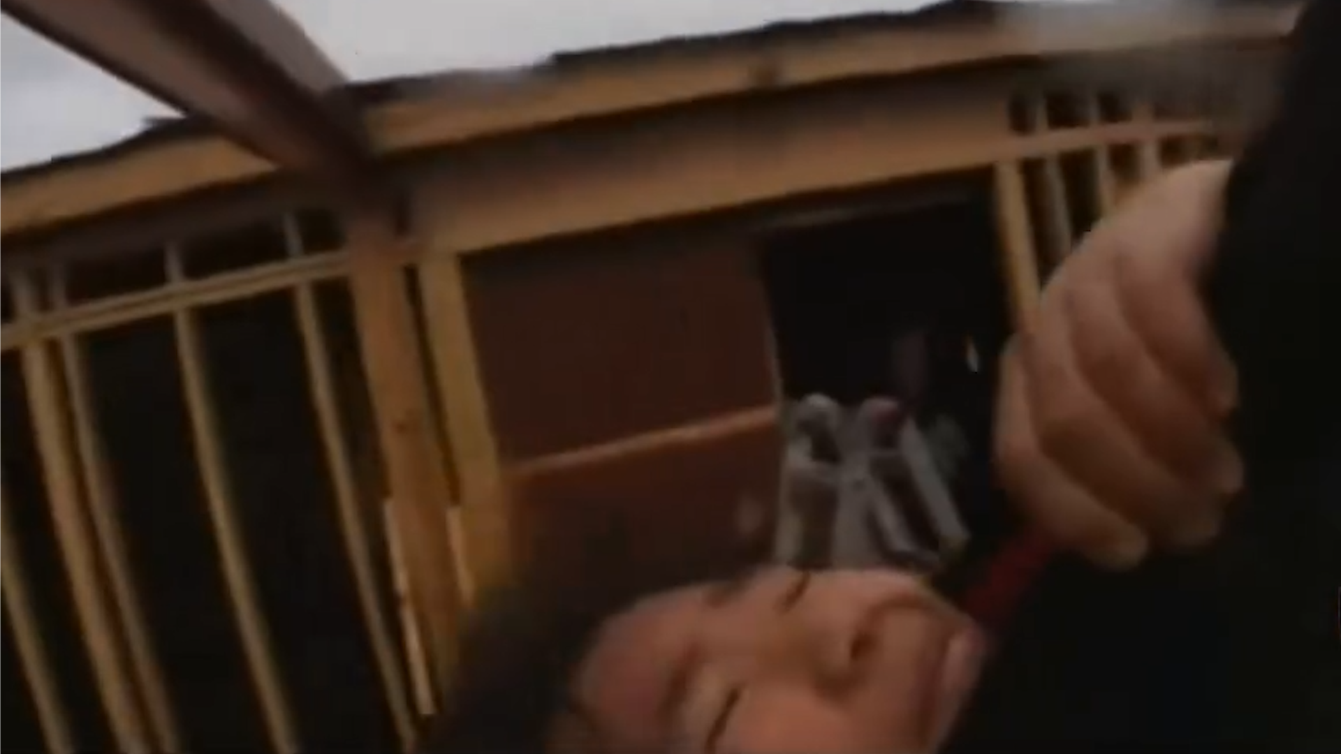 Family, 2 dogs lifted from Texas flood by helicopter