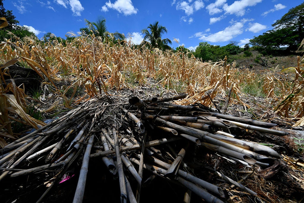 Honduras Drought