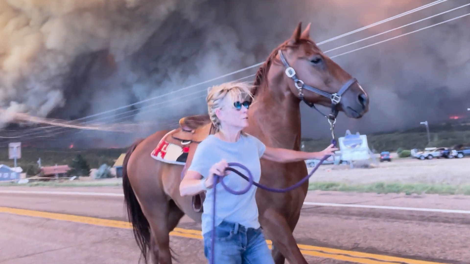 Horse won&rsquo;t get in trailer as Colorado wildfire closes in