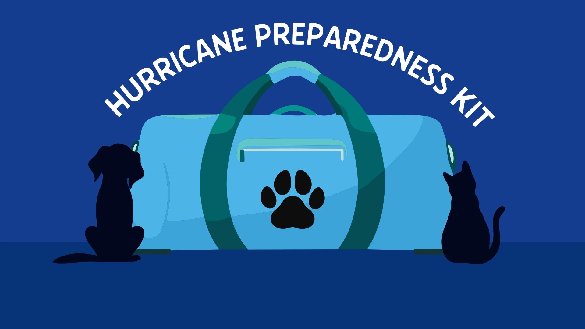 How to build a hurricane-preparedness kit for your pets