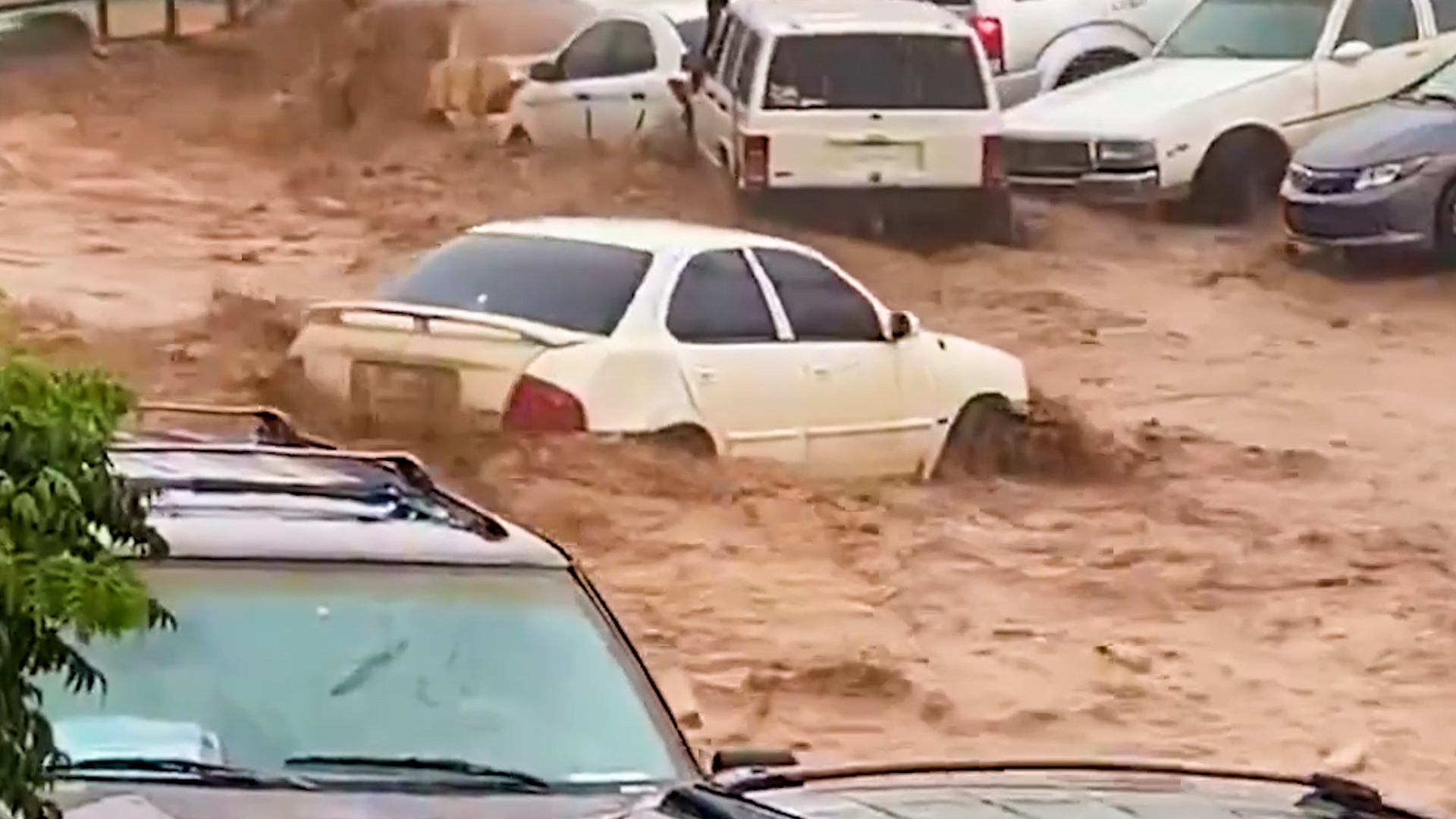 Caught in the current: Woman survives Mexico flash flood
