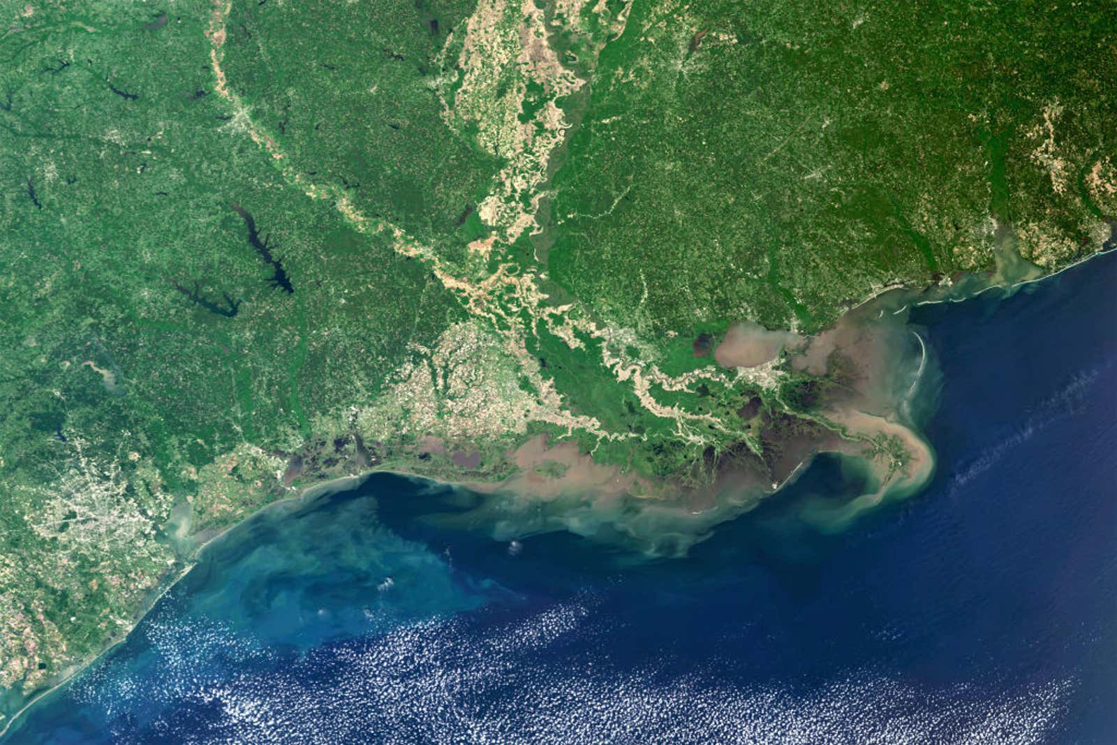 Mississippi Delta