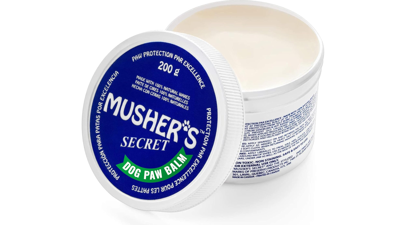 Open jar of Musher's Secret Dog Paw Balm with blue and green label showing white cream inside
