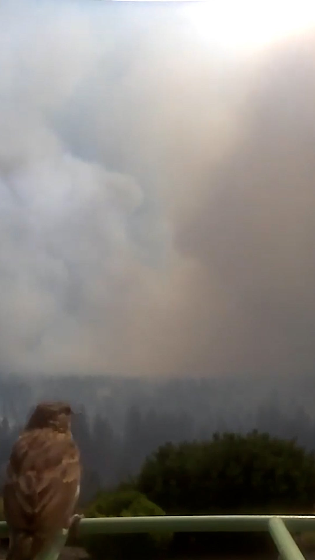 Fire at the back door