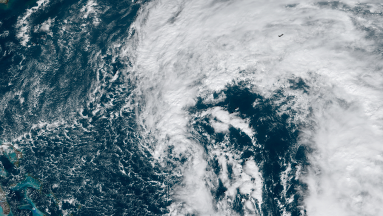 Nicole as a subtropical storm. 