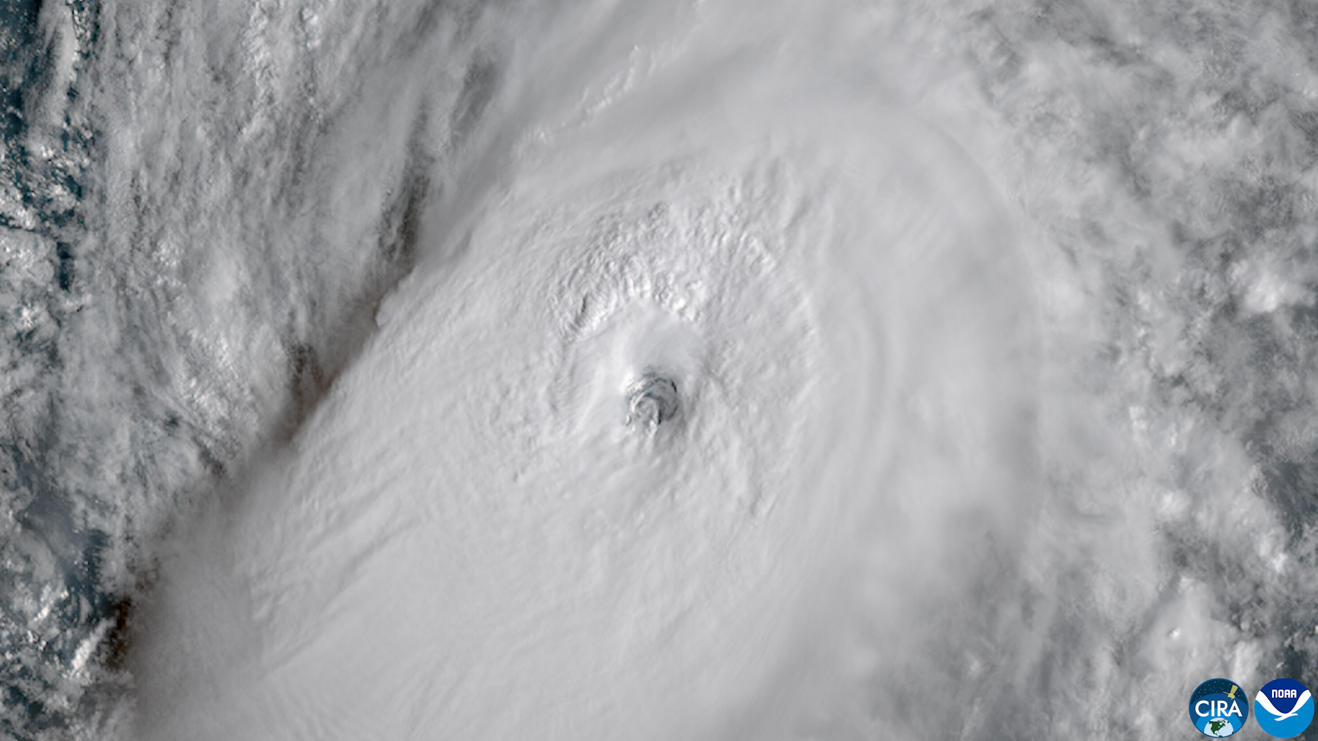 Nolo Cat 4