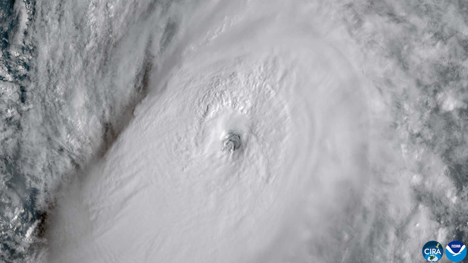 Nolo Cat 4