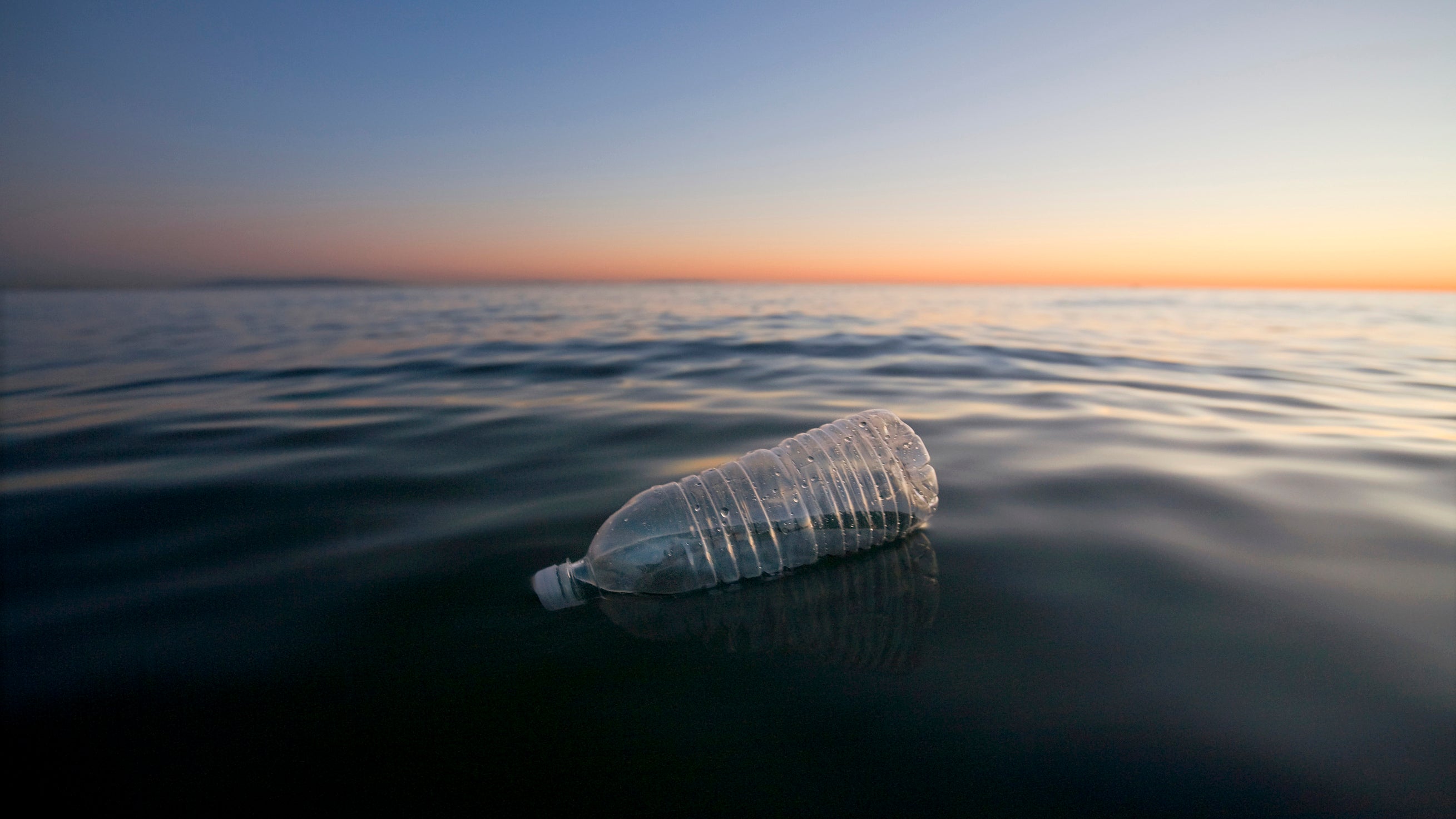 A plastic water bottle floating in the Pacific Ocean.