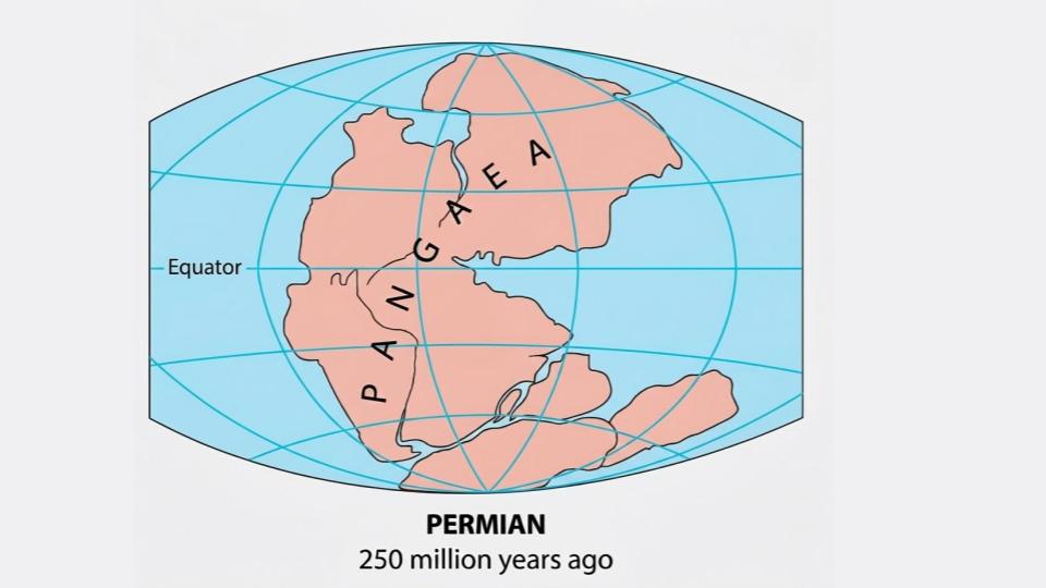 Map illustration of the supercontinent Pangaea during the Permian period, 250 million years ago, with equator and grid lines shown