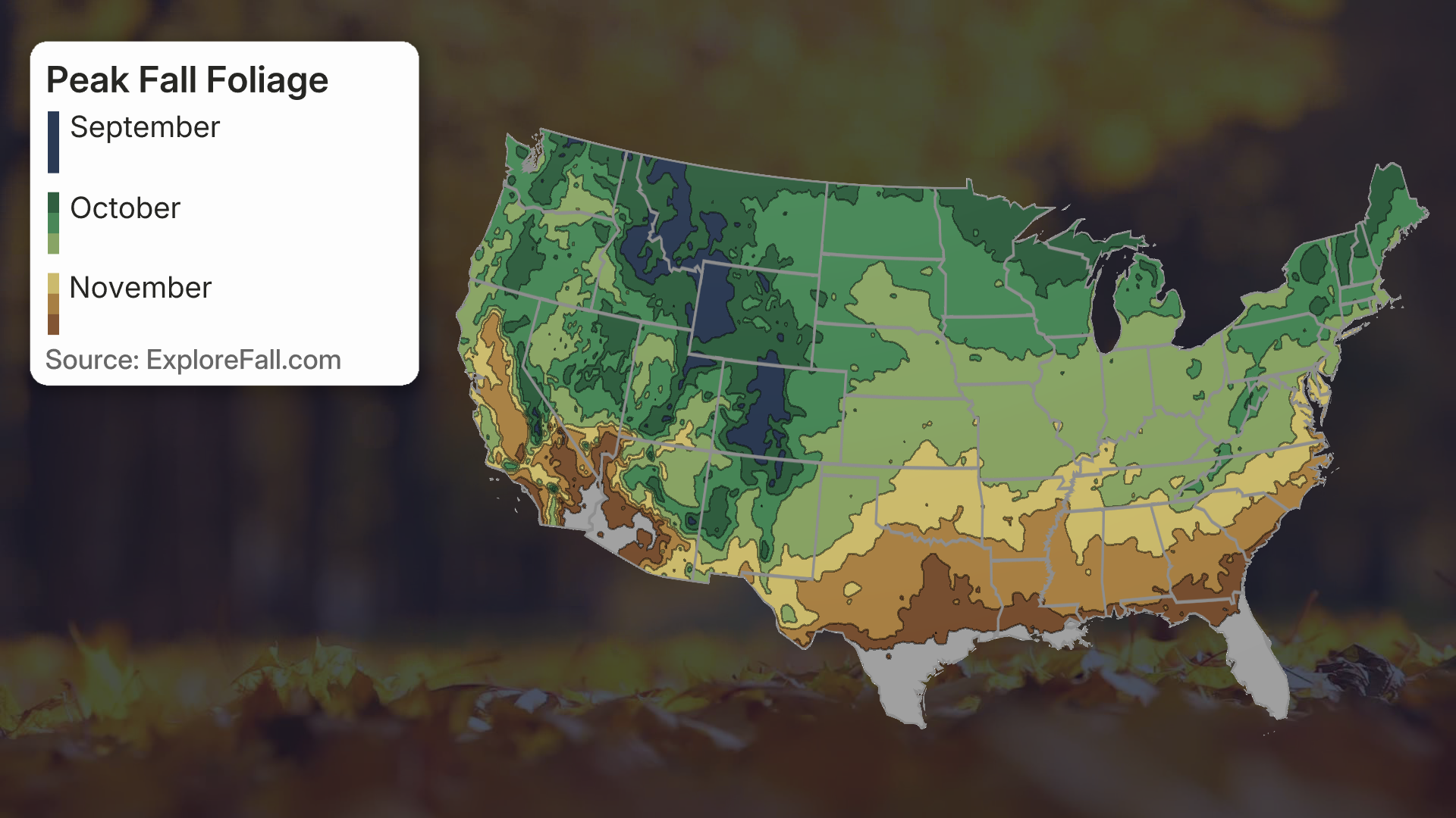 Typical peak fall foliage