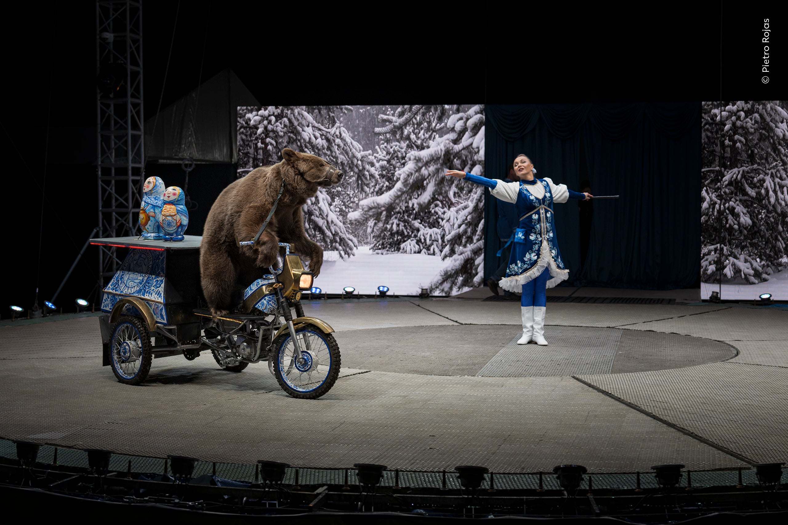 Pietro Rojas (Guatemala) documents a brown bear riding a small motorcycle, muzzled and secured to the apparatus as it circles a circus ring in Doha.