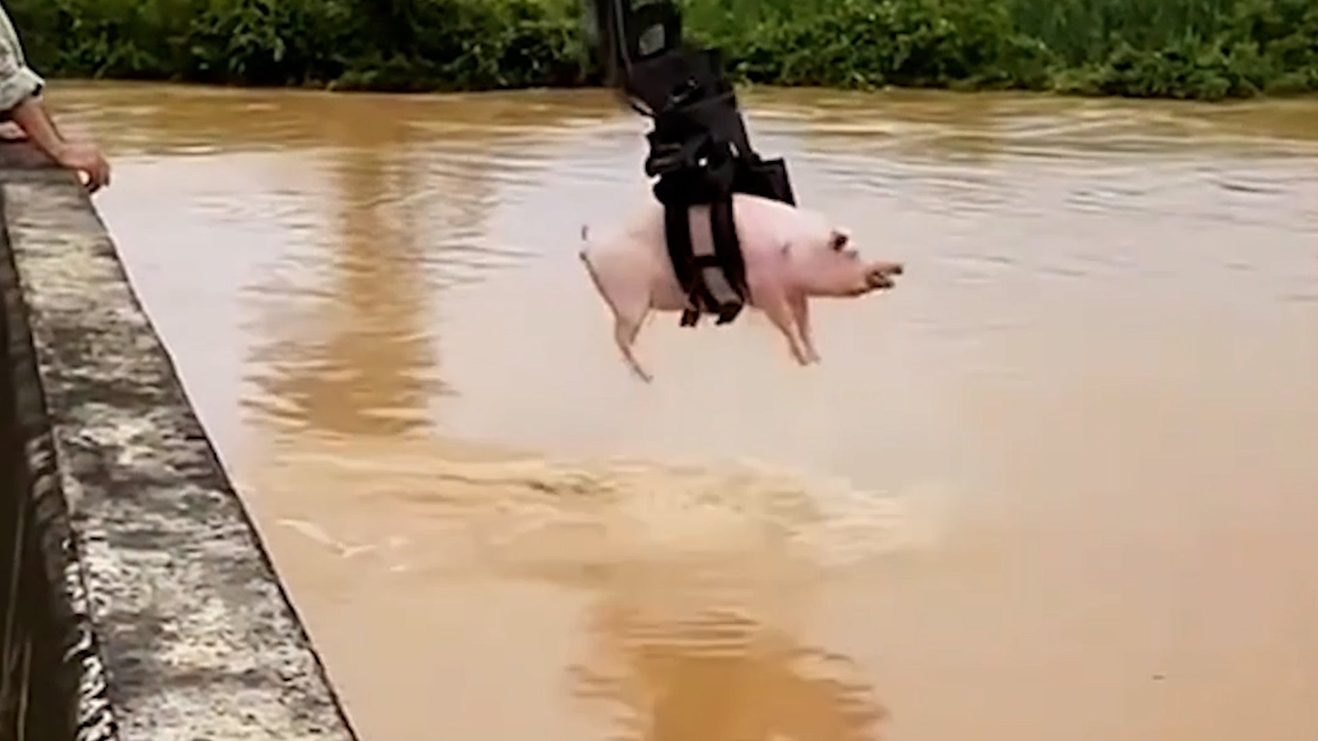 You won't believe what this claw fished out of a flood