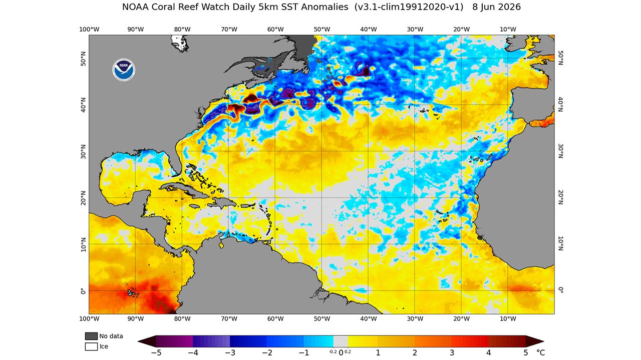 Atlantic Ocean temperature anomalies early June 2026