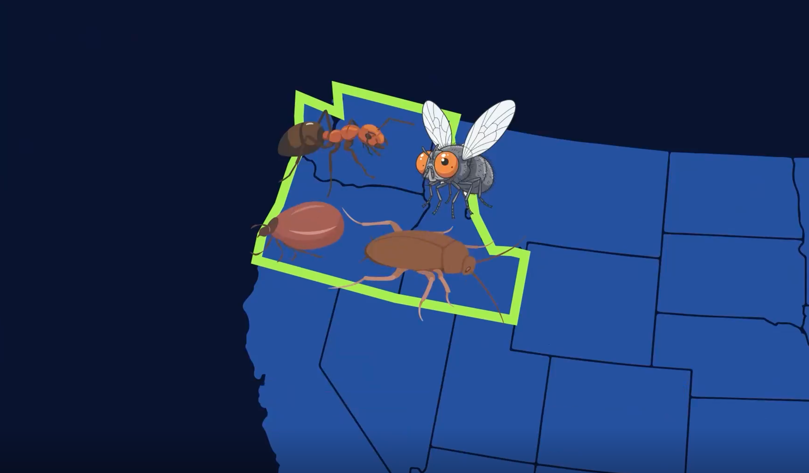 Here&rsquo;s Why Bugs Love This Fall&rsquo;s Weather