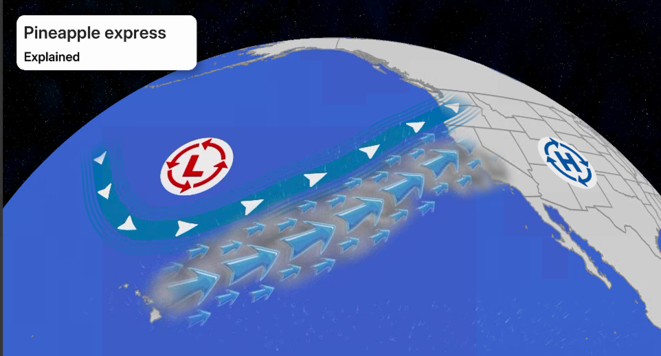 The Pineapple Express setup: A low in the jet stream trough offshore and high pressure over the Four Corners steer Pacific moisture into California. 