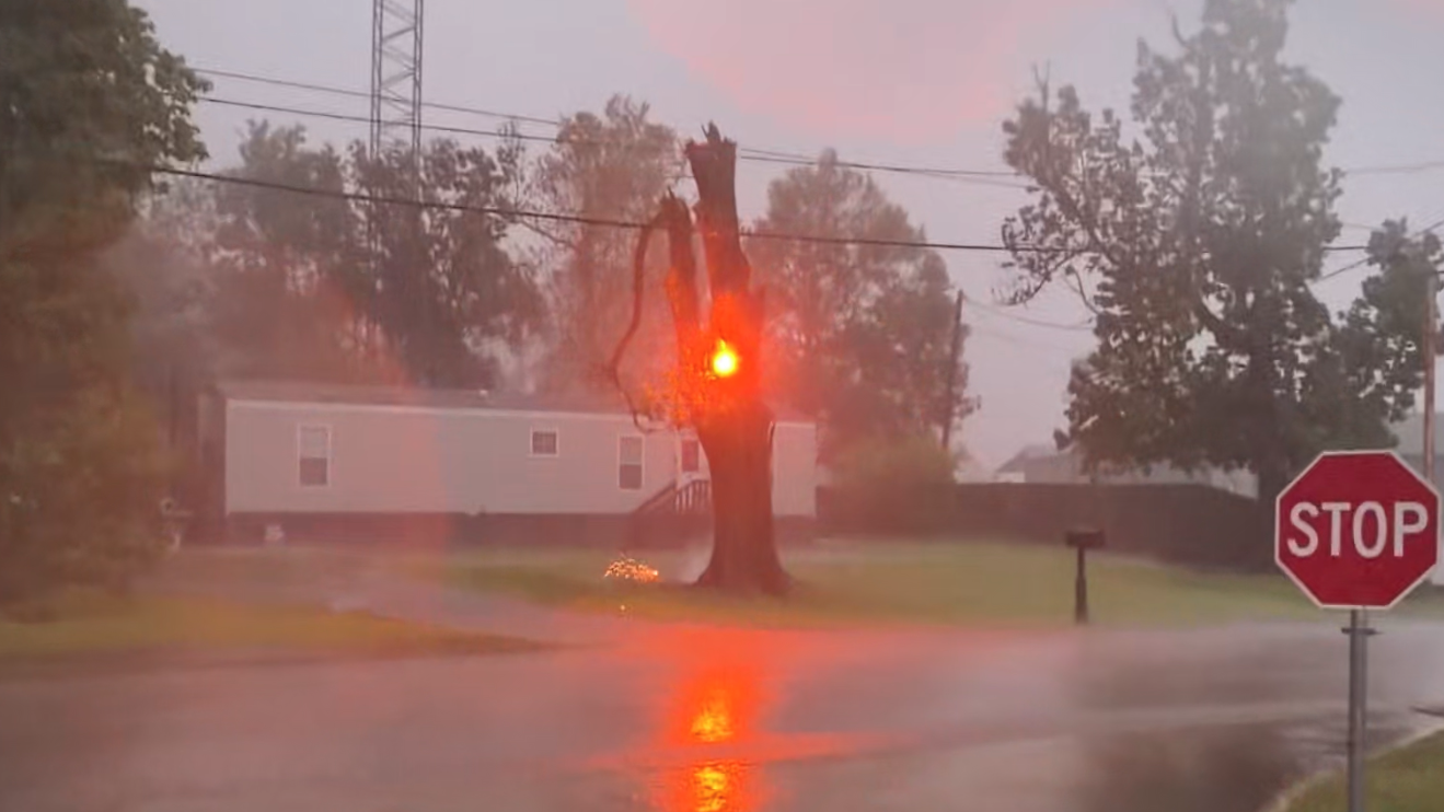 A downed power line sparks with orange fire on a tree during a rainstorm near a stop sign and mobile home.