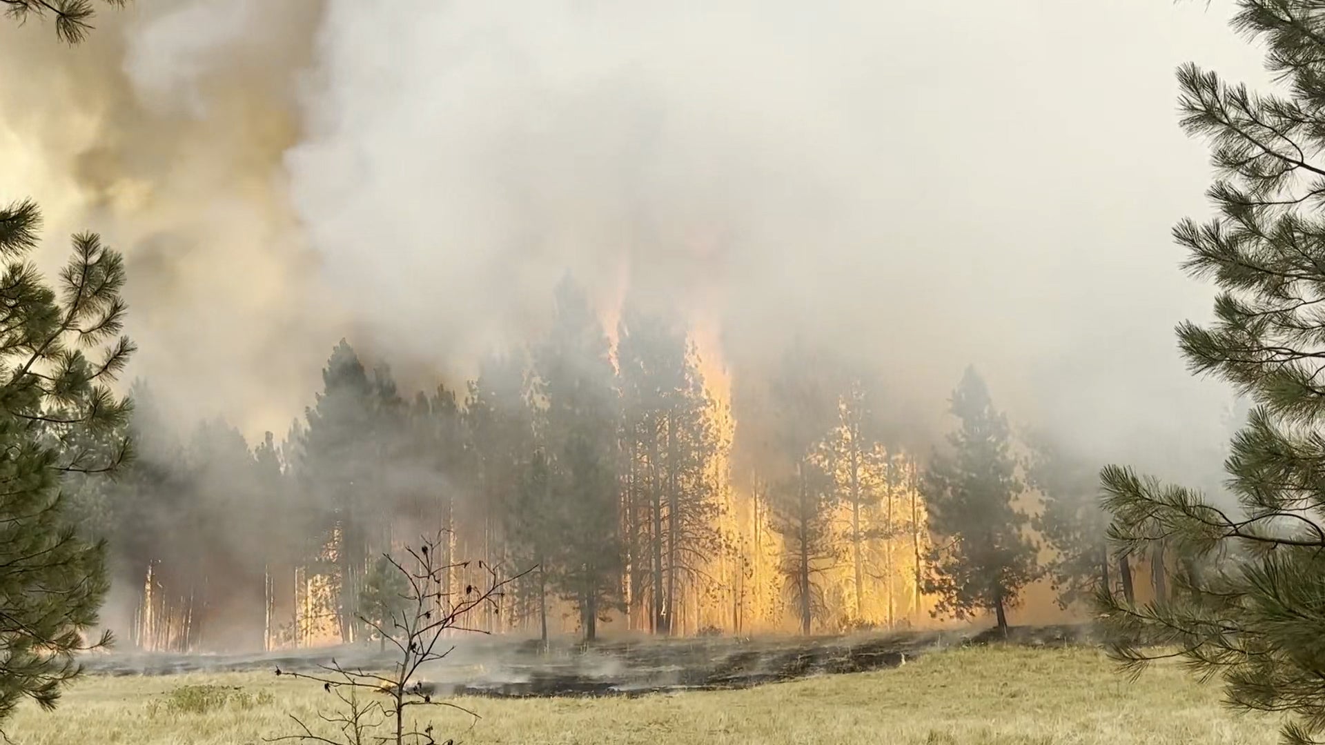 Wildfires rage throughout Pacific Northwest, western Canada