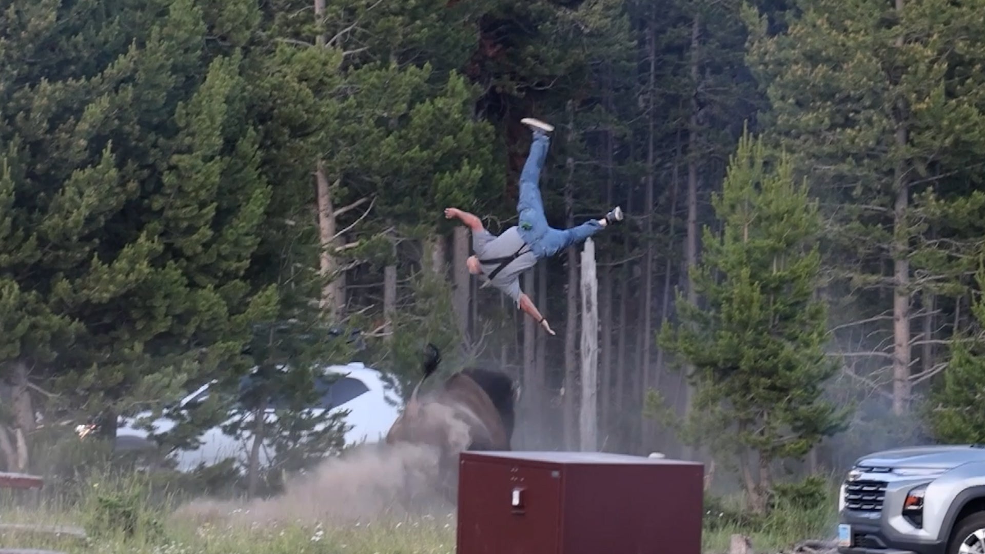 Angry bison chases down Yellowstone tourist, sends him flying