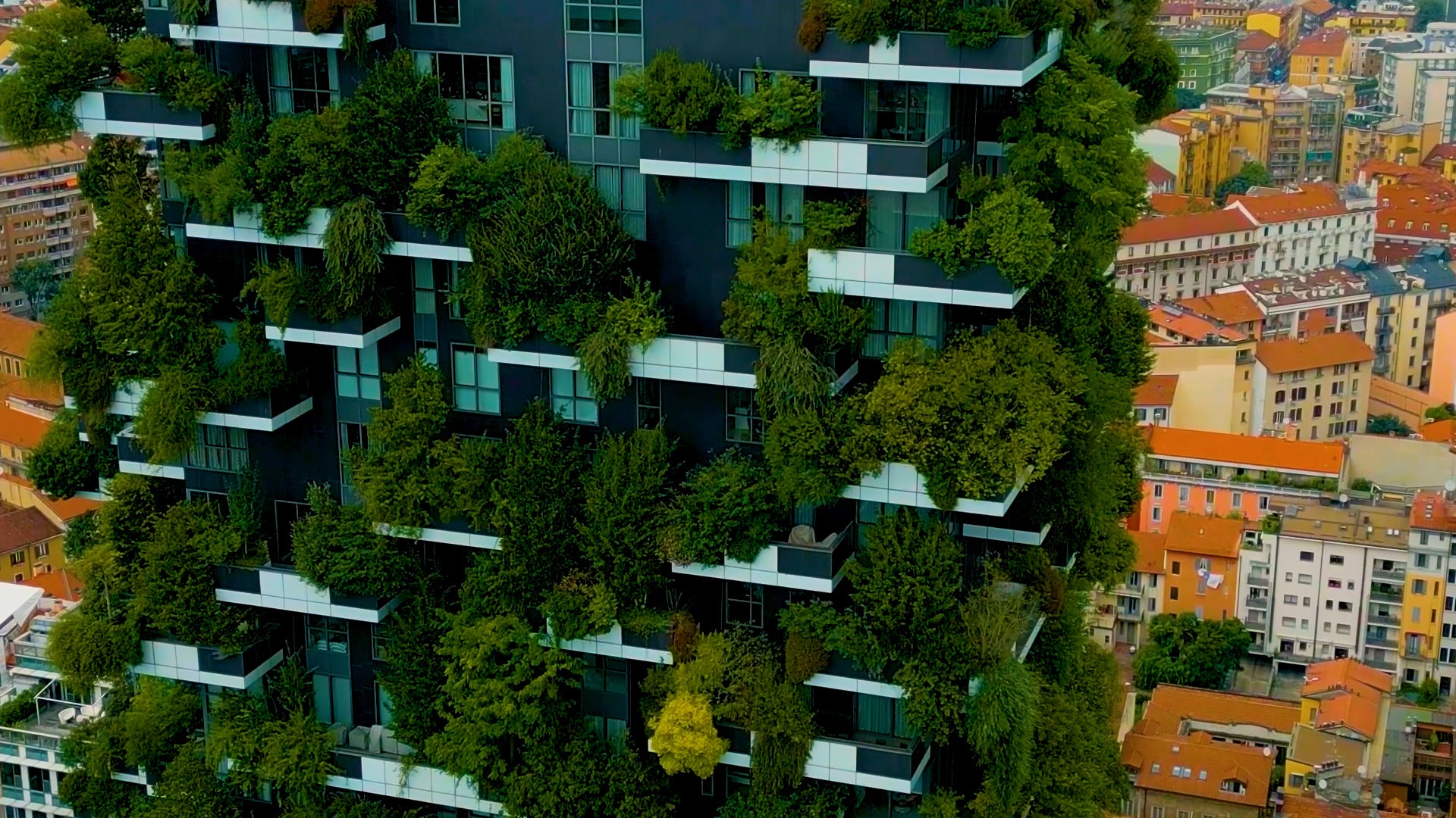 Nature's AC: how cities are growing cooler streets