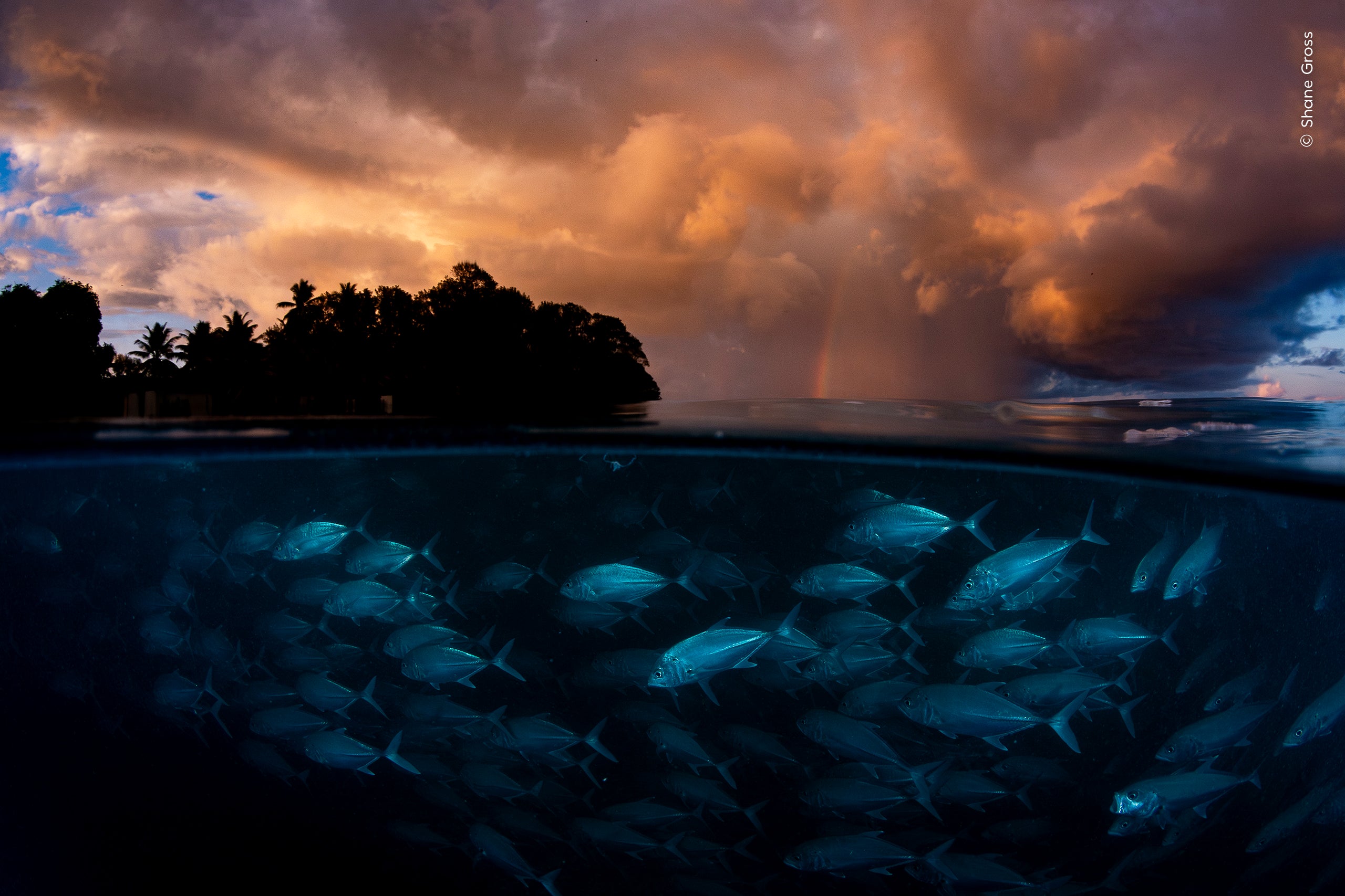 Shane Gross (Canada) slowly approaches a school of bigeye trevally as the morning light breaks and a storm approaches.