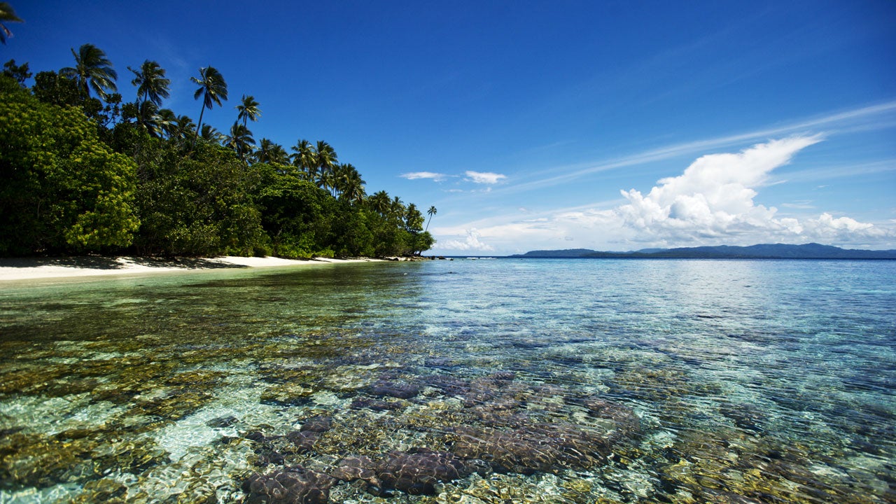 Pristine tropical beach with white sand, crystal-clear turquoise water, lush green vegetation, palm trees, and distant mountains under a bright blue sky with white clouds