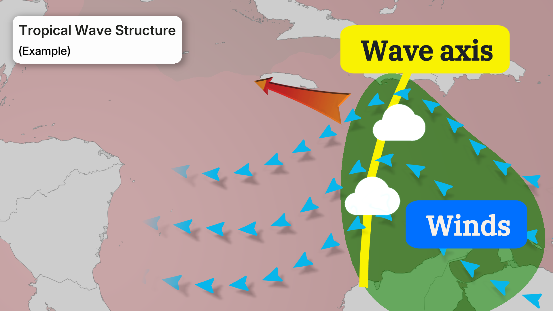 Tropical Wave structure
