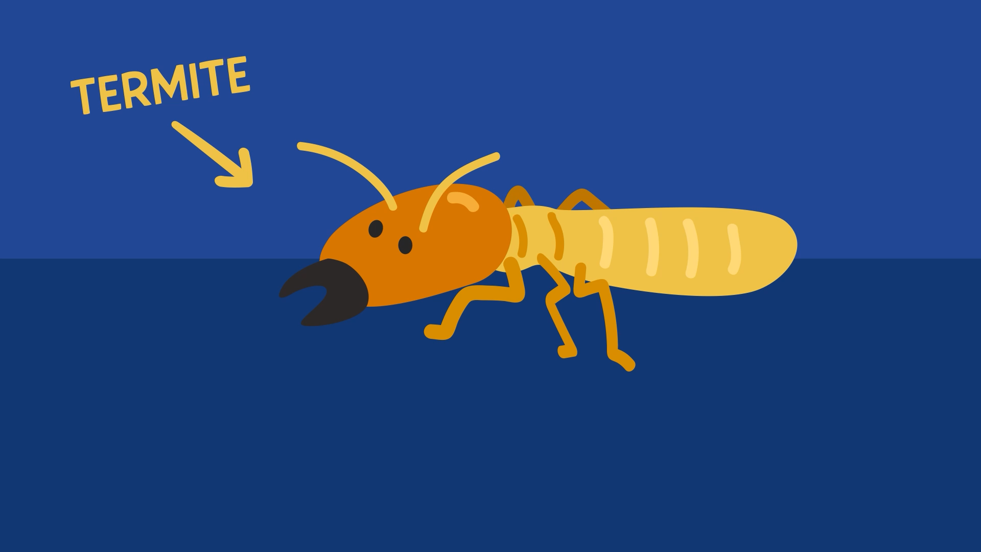 Weathering The Damage: How To Prepare for Termite Season
