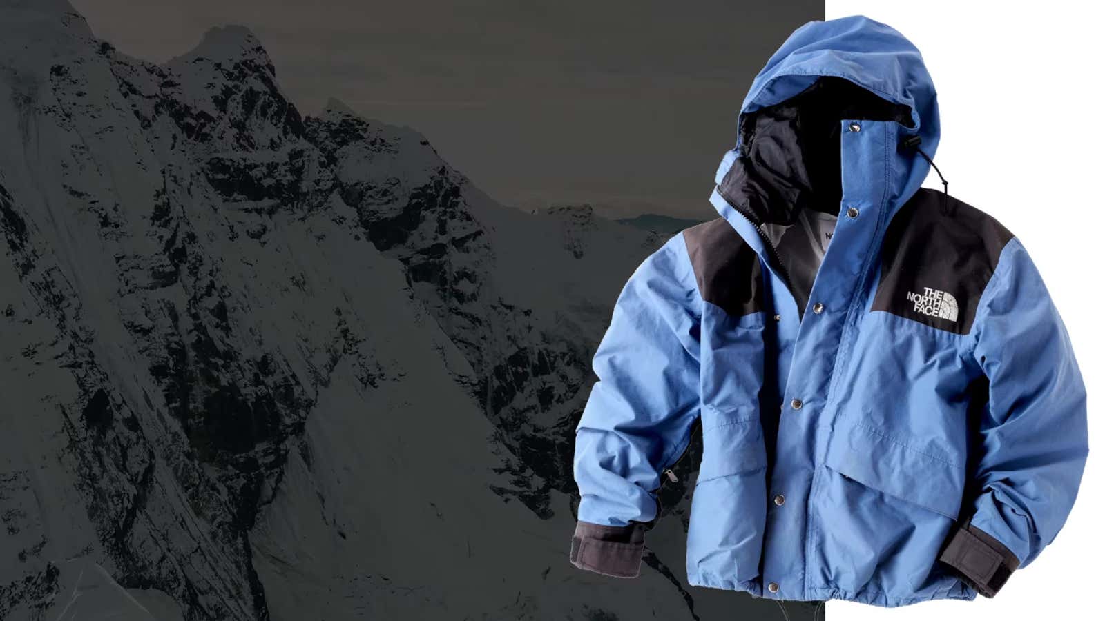 Blue and black The North Face hooded jacket displayed against a snowy mountain backdrop